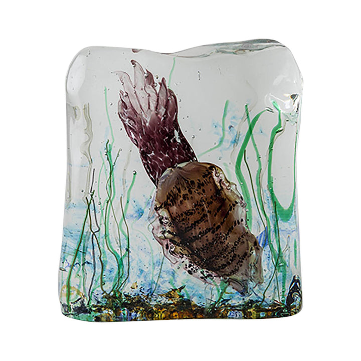 Cuttlefish Aquarium wavemuranoglass