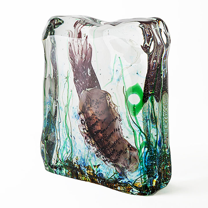 Cuttlefish Aquarium wavemuranoglass