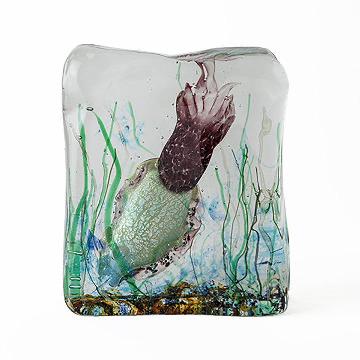 Cuttlefish Aquarium wavemuranoglass